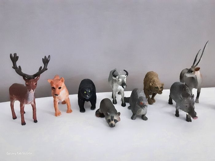 Lot de 10 animaux