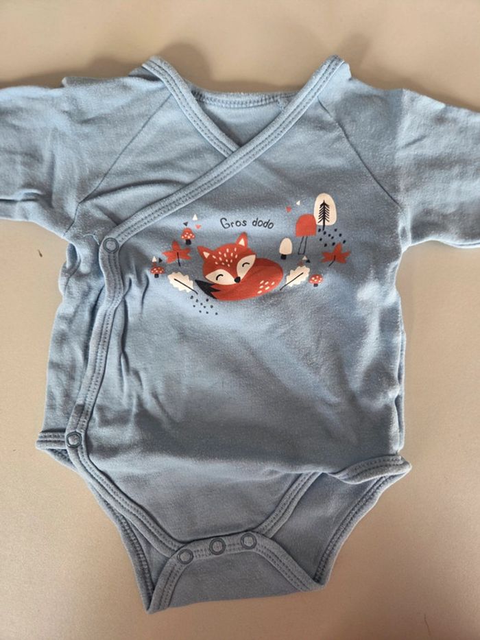 Lot 3 Bodies renard 6m mixte - photo numéro 2