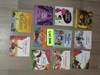 Lot de 11 livres illustrés pour les petits jeunes L046 - 7597708307