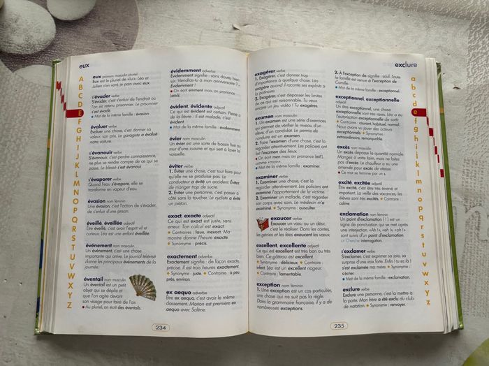 Dictionnaire débutant CP/CE - photo numéro 5