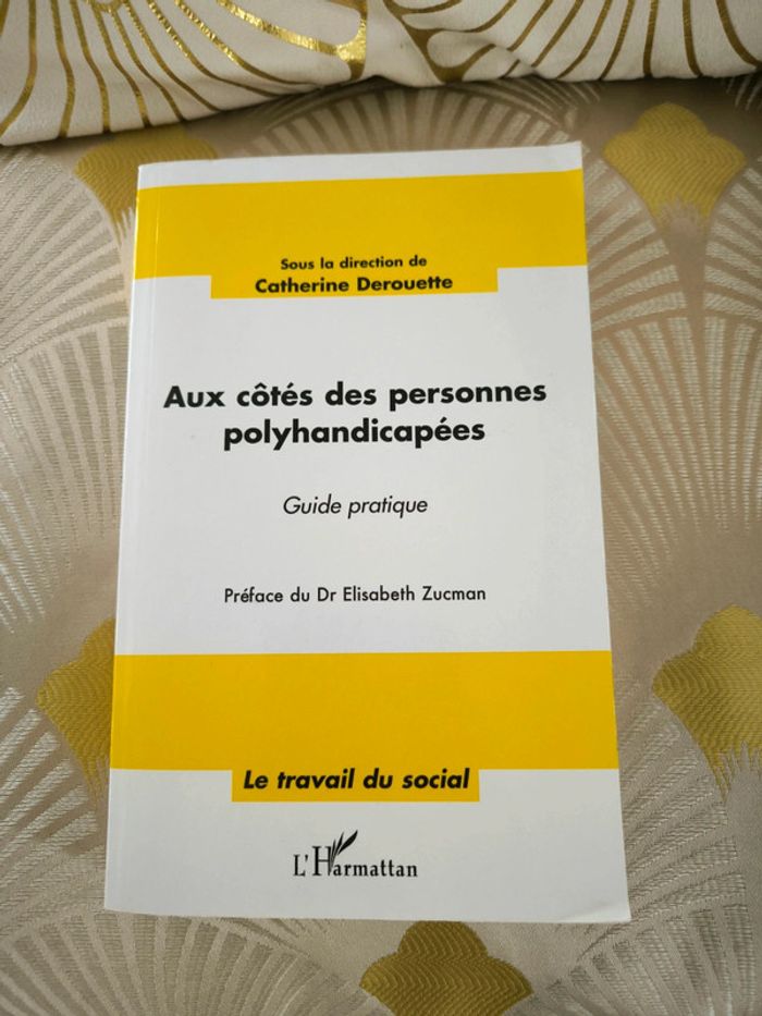 Aux côtés des personnes polyhandicapées guide pratique
