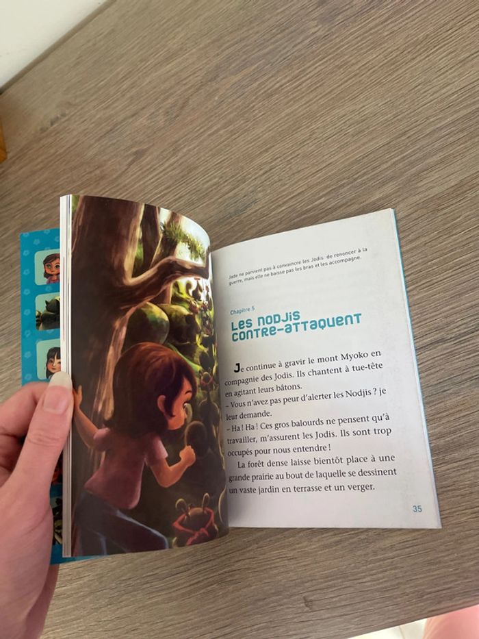 Livre jade et le royaume magique - photo numéro 3
