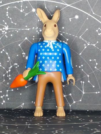 Playmobil figure série 23 lapin avec sa carotte