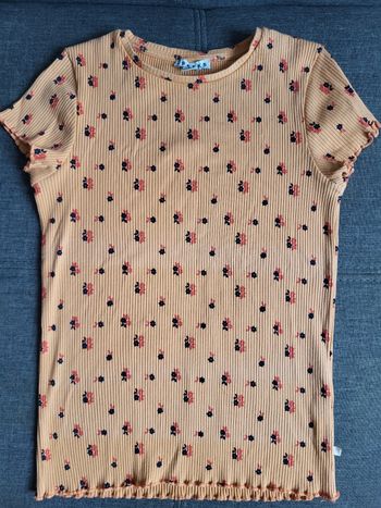 Tee-shirt Creeks