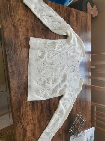 Pull broderie