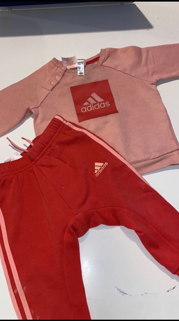 Lots joggings  addidas 6-12mois