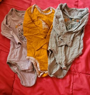 Lot 3 bodys 12 mois