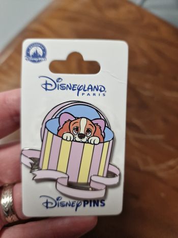 Pins disney lady