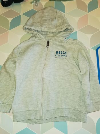 D1421 - veste zippée garçon 36 mois