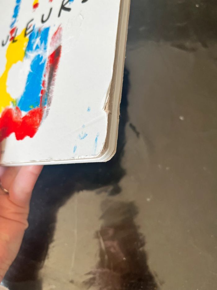 Livre « Les couleurs » Edition Bayard - photo numéro 2