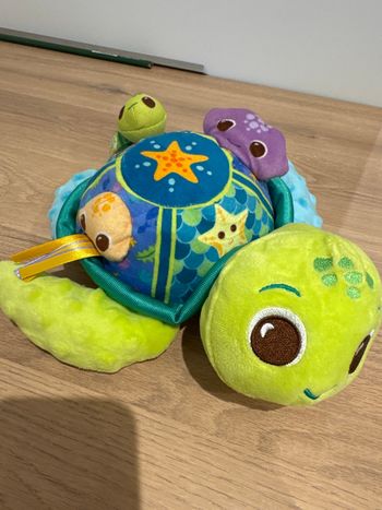 Tortue d’éveil sensorielle 