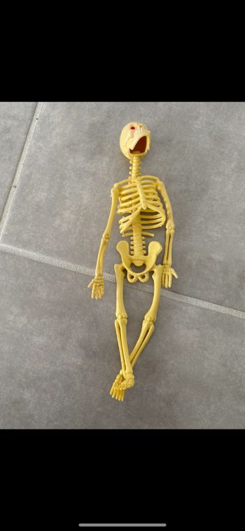 Figurine Squelette Halloween