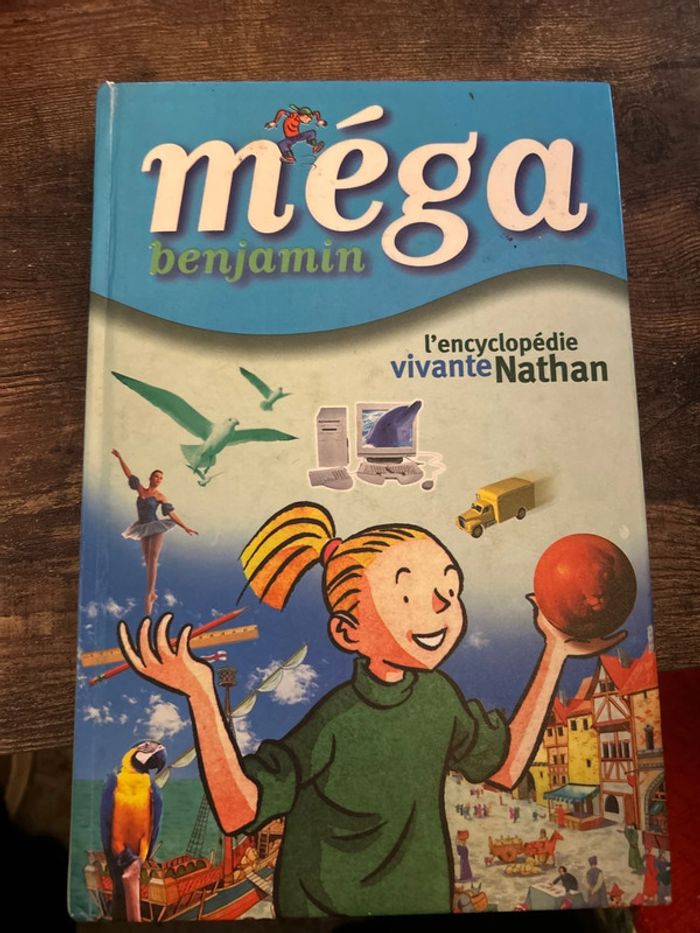 Mega benjamin - photo numéro 1