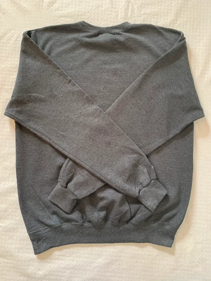 Sweat shirt Champion DUKE - Look universitaire garanti !! - photo numéro 5