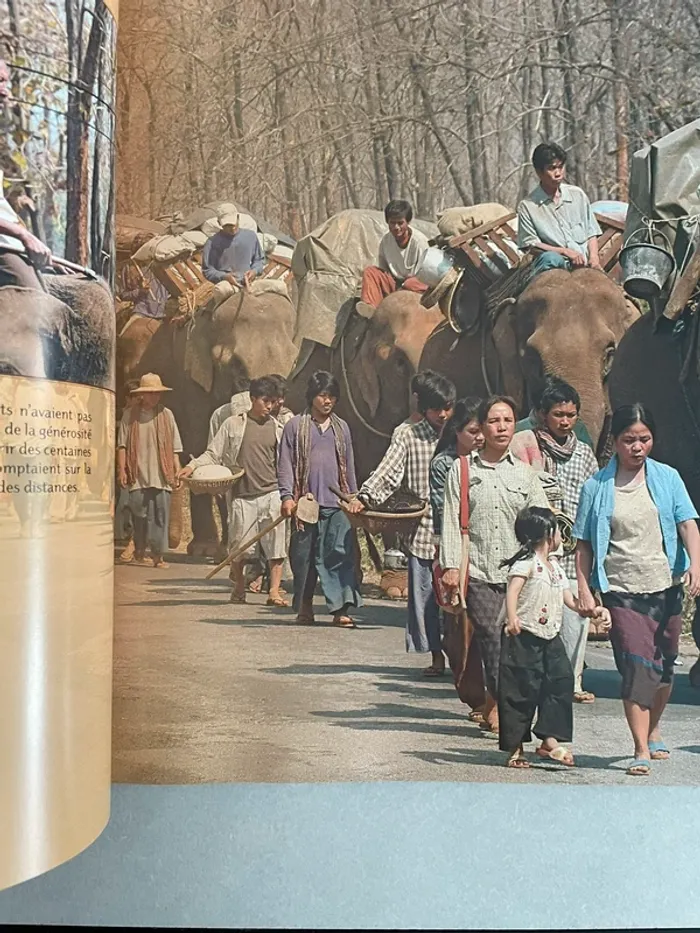 Sunny et L’éléphant - photo numéro 3