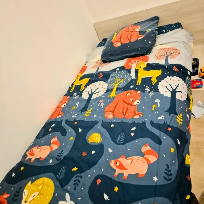 Parure de lit, drap et taie d’oreiller