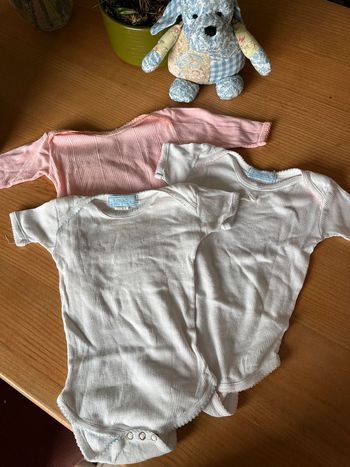 3 bodies