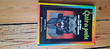 Livre Chair de Poule La peau du loup garou
