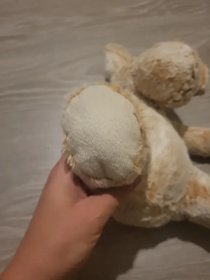 Peluche - photo numéro 5