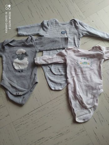 Lot de 6 bodys