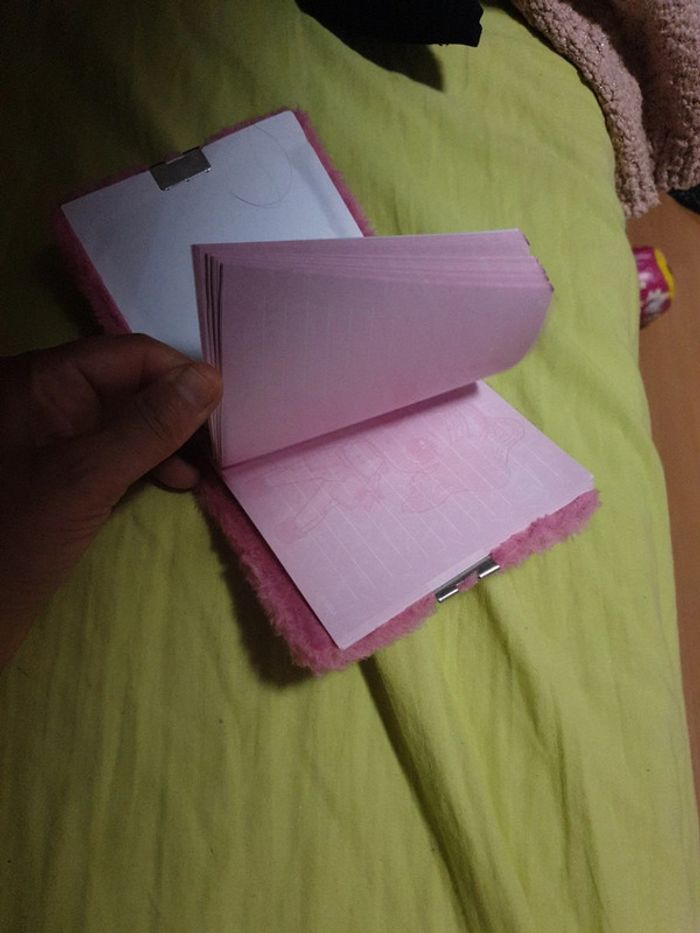 Petit carnet lol - photo numéro 3