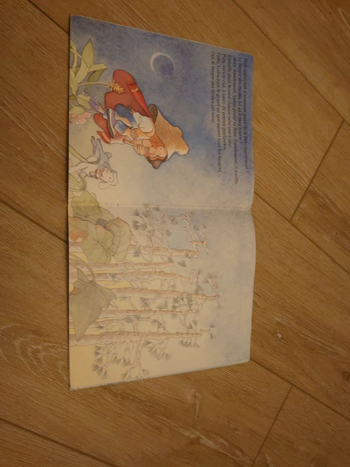 Lot 4 livres - photo numéro 8