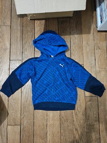 Veste à capuche puma