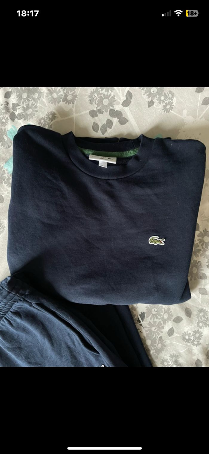 Ensemble Lacoste - photo numéro 2