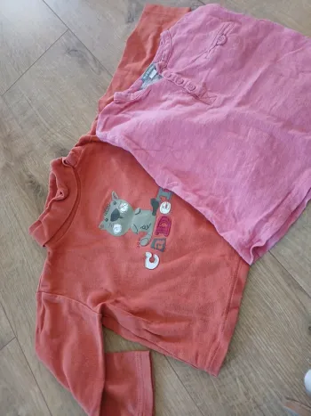Lot 2 tee-shirts ML