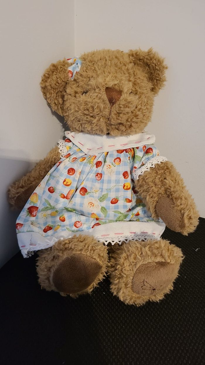 peluche ours - photo numéro 3