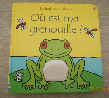 Livre "Où est ma grenouille"