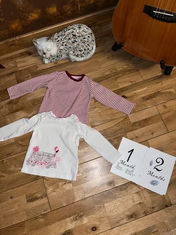Lot de 2 t-shirt lupilu très bon état 74/80cm/12mois