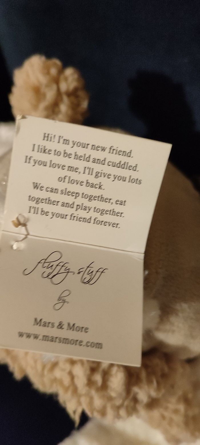 Peluche neuve - photo numéro 5