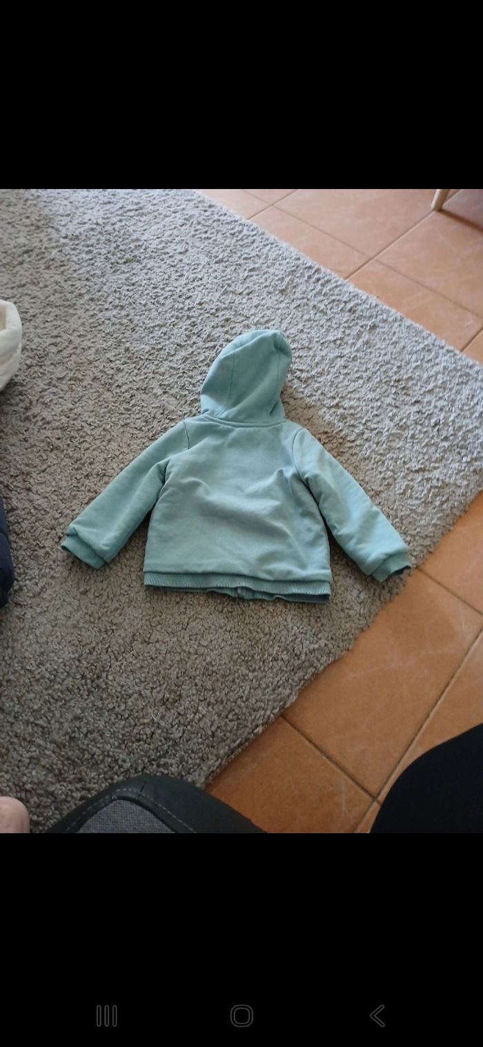 Vestes - photo numéro 2