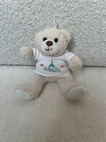 Ours en peluche t-shirt Paris