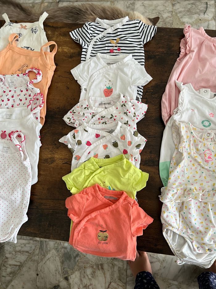 bodies manches courtes - photo numéro 2