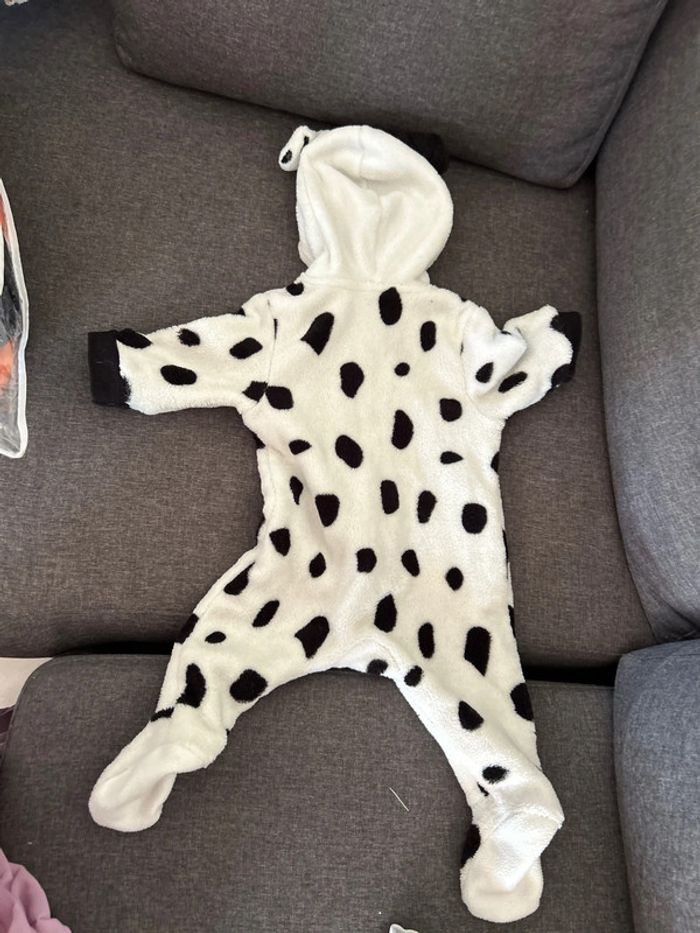 Grenouillère, dalmatiens - photo numéro 3