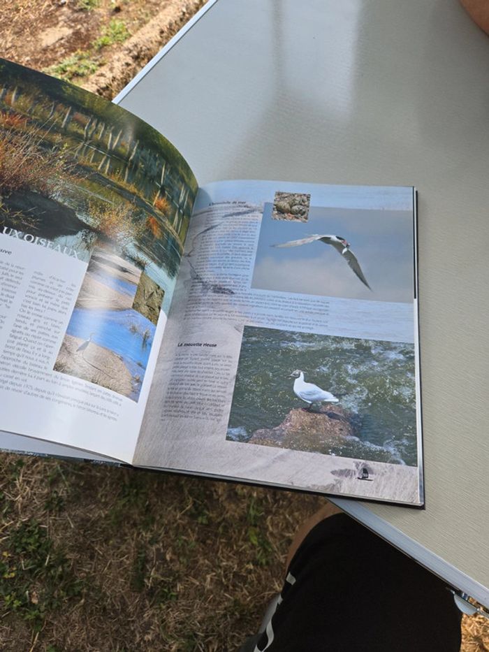 Livre voyage en Loire nivernaise - photo numéro 5