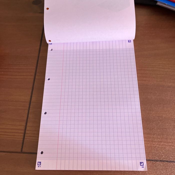 Feuilles simples grand format, grands carreaux en bloc - photo numéro 2