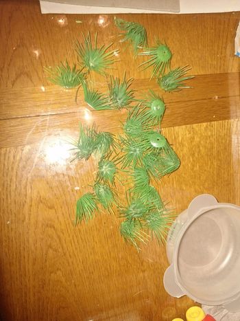 Lot de petite tour d'herbe