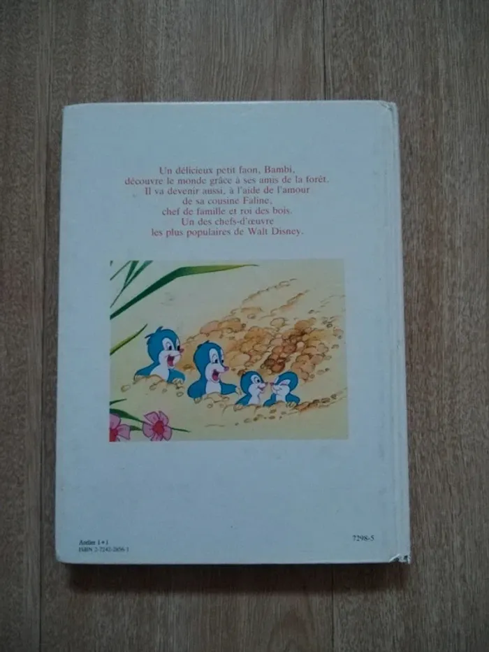 Lot gros livres Disney - photo numéro 6