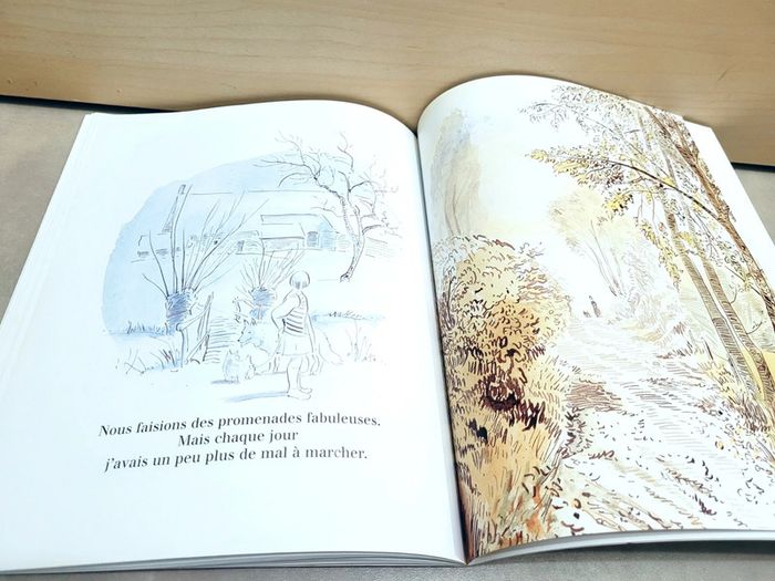 🌺 Livre (école des loisirs) : Le loup rouge - photo numéro 4