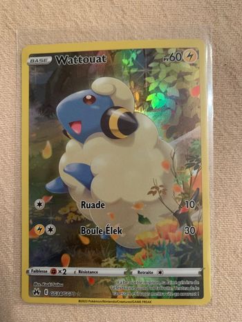 Carte Pokémon