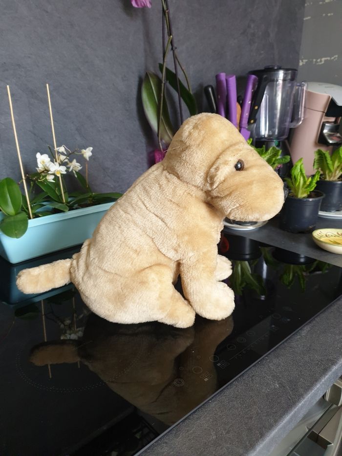 Peluche bouledogue