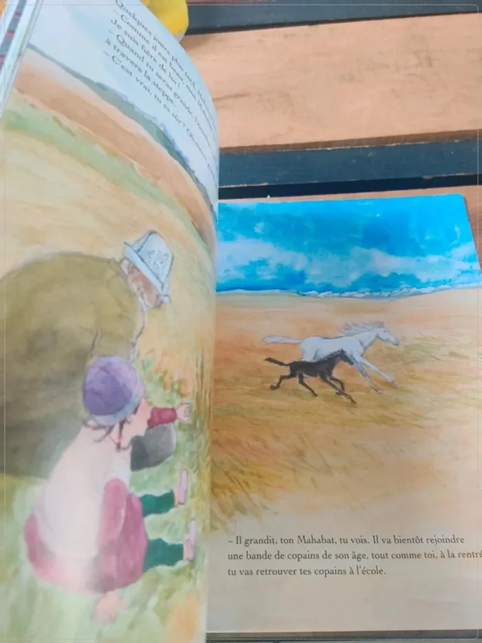 École des loisirs : Mon petit cheval Mahabat - photo numéro 3