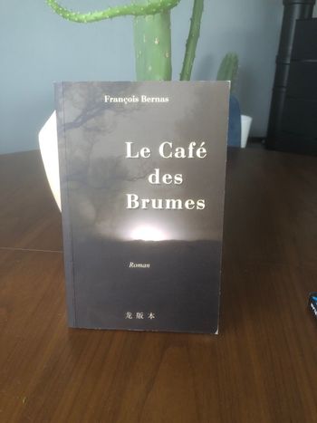 Le café des brumes - François Bernas