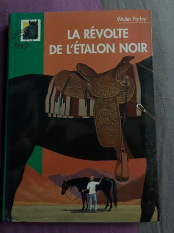 Livre La révolte de l’étalon noir