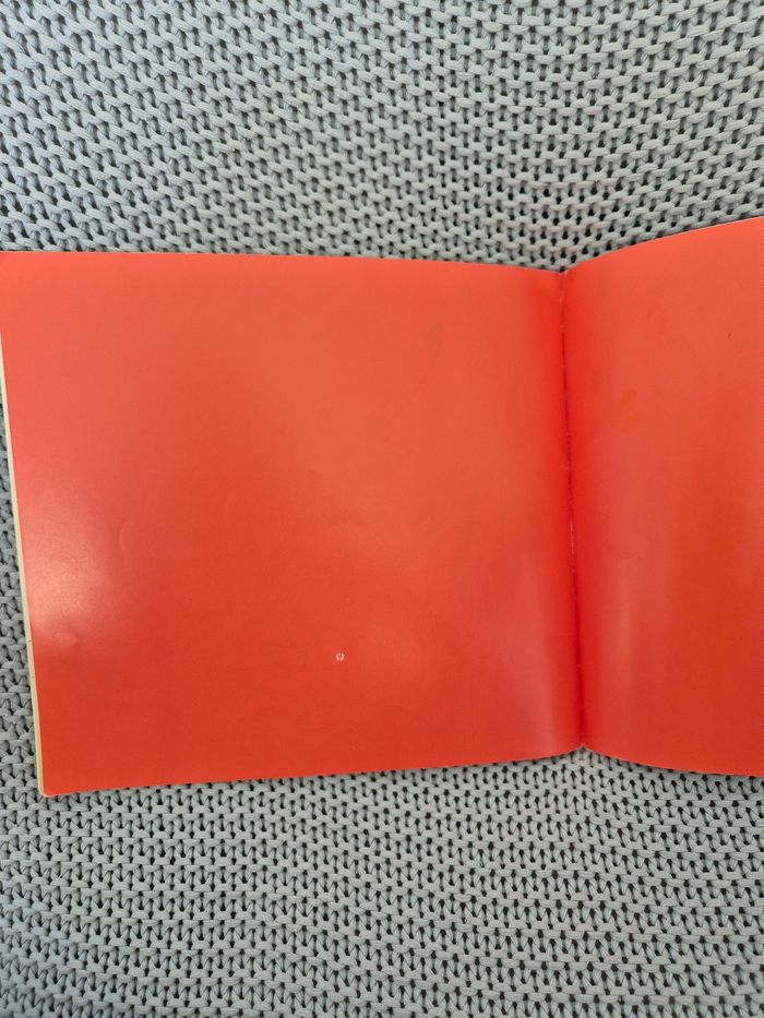 Castor-Têtu - photo numéro 3