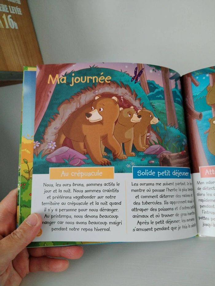 Altaya Les animaux de la forêt n°2 L'ours brun - photo numéro 12