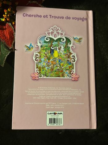 Aventures de princesse